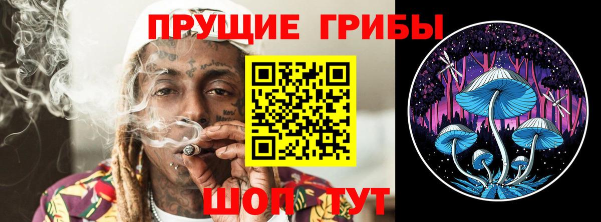 Галлюциногенные грибы Psilocybe Чехов